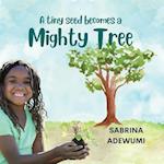 A Tiny Seed Becomes a Mighty Tree 