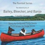 The Adventures of Bailey, Bleecker, and Banjo: Linville Gorge 