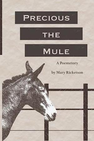 Precious the Mule