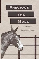 Precious the Mule 