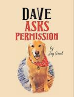 Dave Asks Permission 