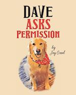 Dave Asks Permission 