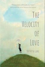 The Velocity of Love 