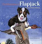 The Adventures of Flapjack