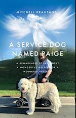 A Service Dog Named Paige : A Remarkable Story About A Wonderful Helper For A Wounded Veteran
