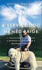 A Service Dog Named Paige: A Remarkable Story About A Wonderful Helper For A Wounded Veteran 