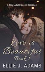 Love is Beautiful Book 1 