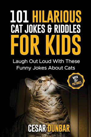 101 Hilarious Cat Jokes & Riddles For Kids