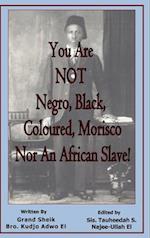 You Are NOT Negro, Black, Coloured, Morisco Nor An African Slave!