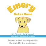 Emery Gets a Home: It's Okay to Be Adopted! 