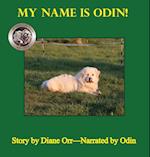 My Name is Odin 