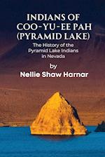 Indians of Coo-Yu-Ee Pah (Pyramid Lake)