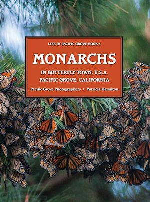 MONARCHS In Butterfly Town U.S.A., Pacific Grove, California