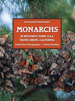 MONARCHS In Butterfly Town U.S.A., Pacific Grove, California 