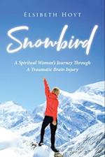 SnowBird : A Spiritual Woman's Journey Through a Traumatic Brain Injury