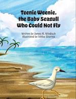 Teenie Weenie, the Baby Seagull Who Could Not Fly 