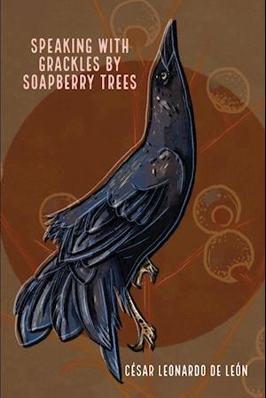 speaking with grackles by soapberry trees