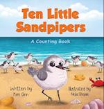 Ten Little Sandpipers 
