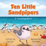 Ten Little Sandpipers 