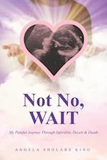 Not No, WAIT: My Painful Journey Through Infertility, Deceit & Death 