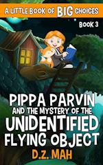 Pippa Parvin and the Mystery of the Unidentified Flying Object: A Little Book of BIG Choices 