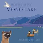 Magnificent Majestic Mono Lake 