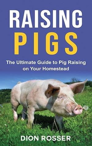 Raising Pigs