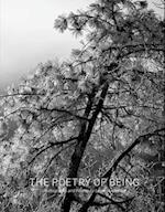 The Poetry of Being : Photographs and Haikus 