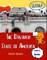The Divided State of America