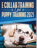 E Collar Training AND Puppy Training 2021 (2 Books IN 1) 