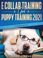 E Collar Training AND Puppy Training 2021 (2 Books IN 1) 