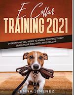E Collar Training2021