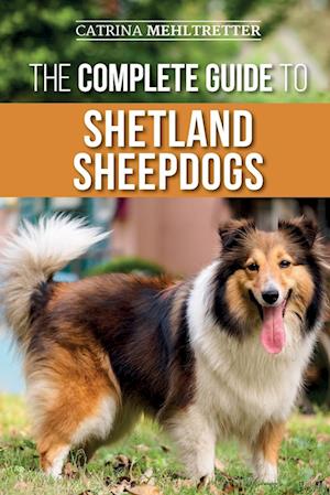 The Complete Guide to Shetland Sheepdogs