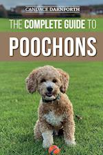The Complete Guide to Poochons