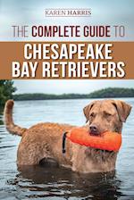 The Complete Guide to Chesapeake Bay Retrievers