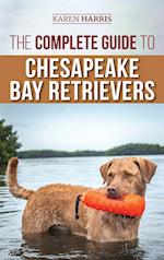 The Complete Guide to Chesapeake Bay Retrievers