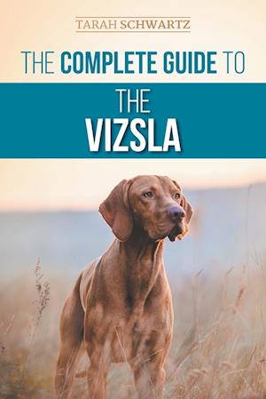 The Complete Guide to the Vizsla