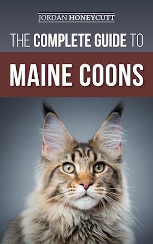 The Complete Guide to Maine Coons