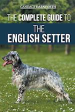 The Complete Guide to the English Setter