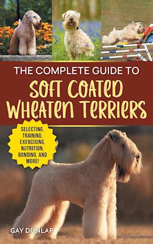 The Complete Guide to Soft Coated Wheaten Terriers