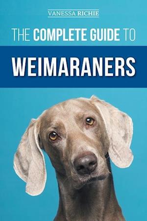 The Complete Guide to Weimaraners