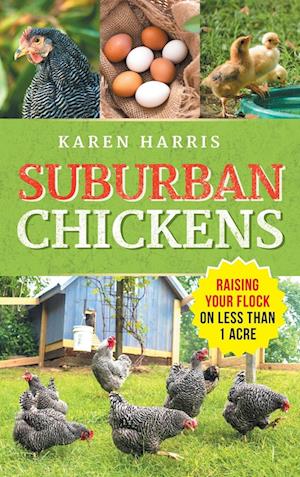 Suburban Chickens