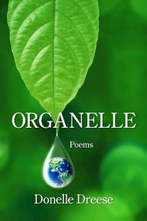 Organelle