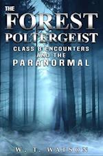The Forest Poltergeist: Class B Encounters and the Paranormal 