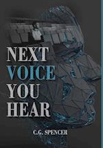 Next Voice You Hear 