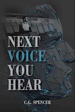 Next Voice You Hear 