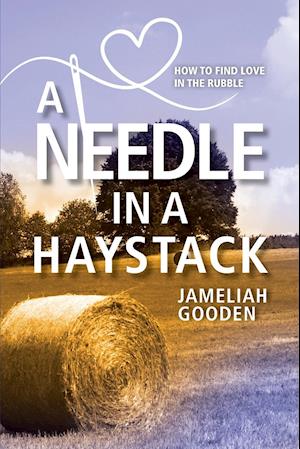 A Needle in a Haystack