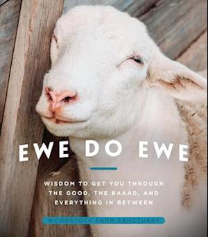 Ewe Do Ewe