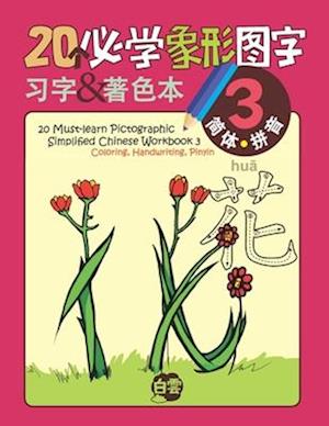 20 Must-learn Pictographic Simplified Chinese Workbook - 3