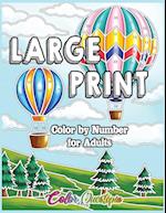 Large Print Color by Number for Adults